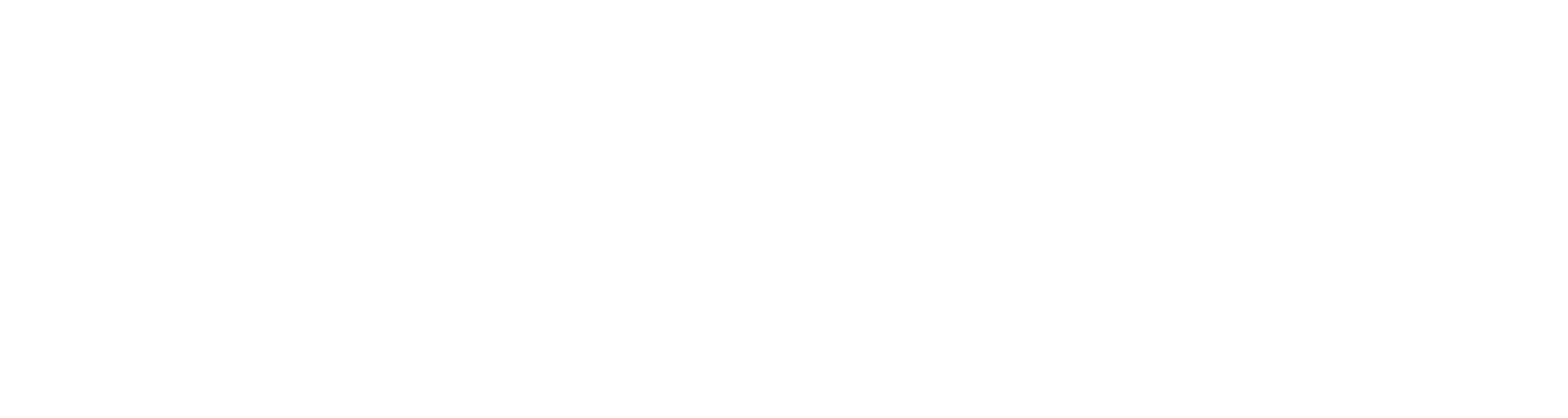TerraWatt Consulting Group